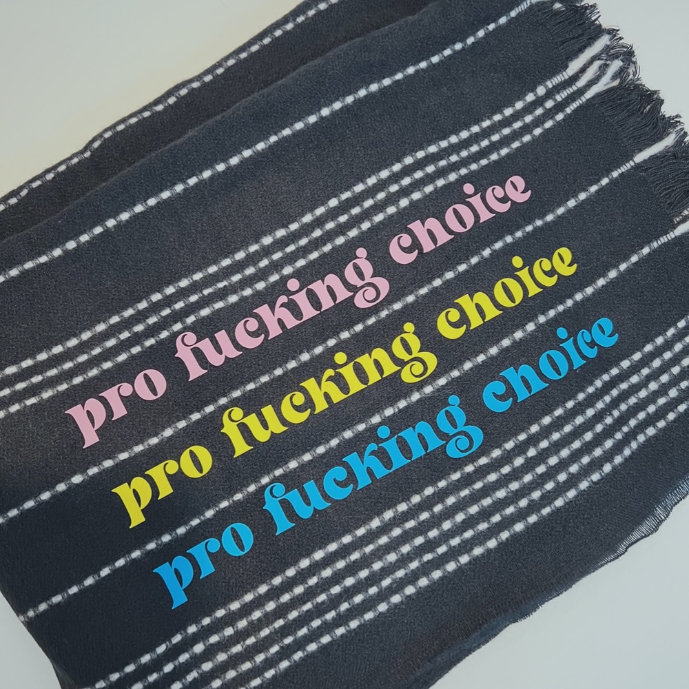50 in x 60 in pro choice blanket / pansexual Pride colors